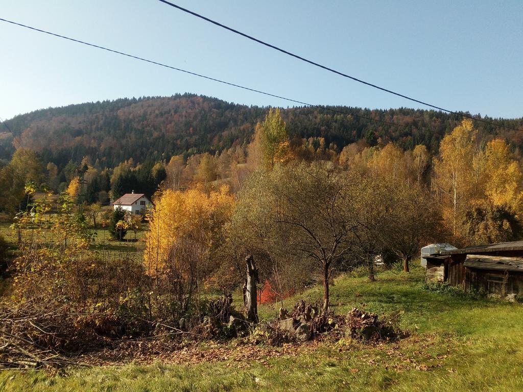 Apartment Krkonosska Tanvald Exteriör bild